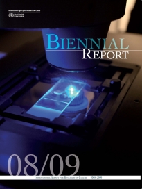 4.2.BiReport_0910_En.jpg