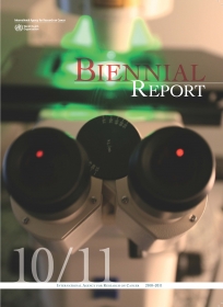 4.2.BiReport_1011_En.jpg